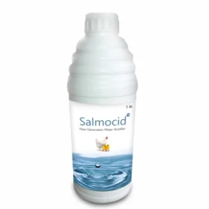 Salmocid
