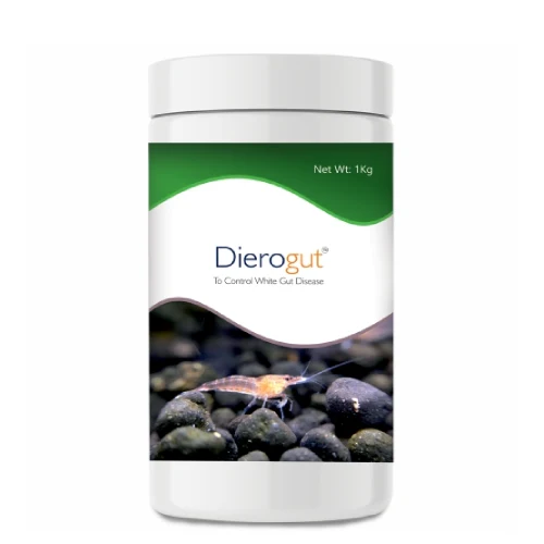 Dierogut